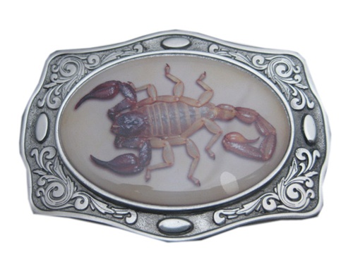 Western Style with Scorpion Belt Buckle